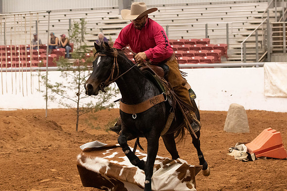 Futurity-6234