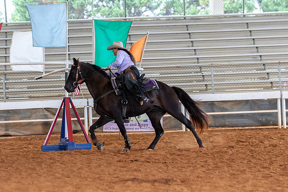 EXCARegionals-1184
