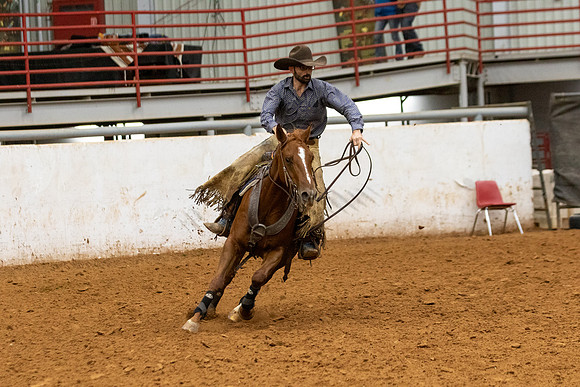 Mule&FuturityR2-407