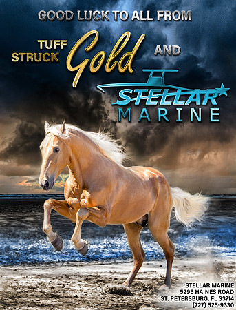 Lisa Steinbach Single Horse