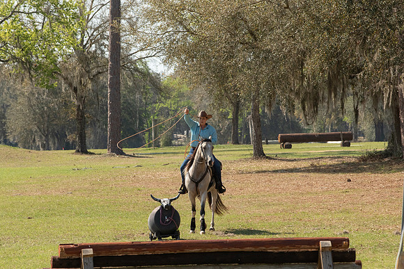 EXCAOcala-8150