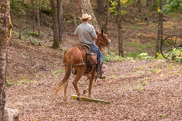 HodgesRace-7561