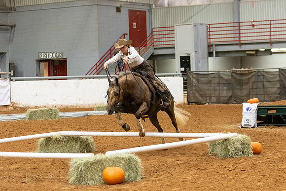 Mule&FuturityR2-328