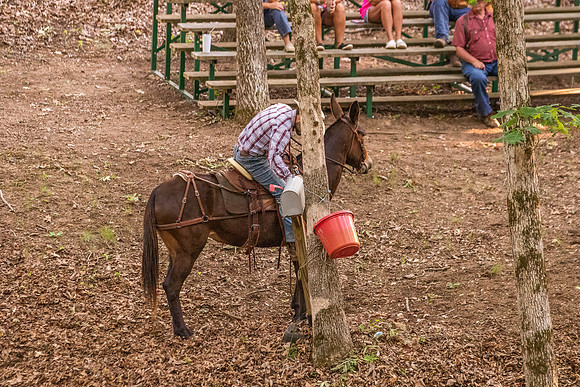 HodgesRace-7441