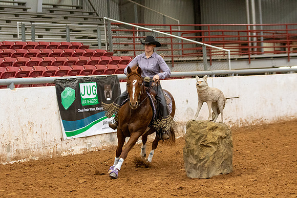 Mule&FuturityR2-499