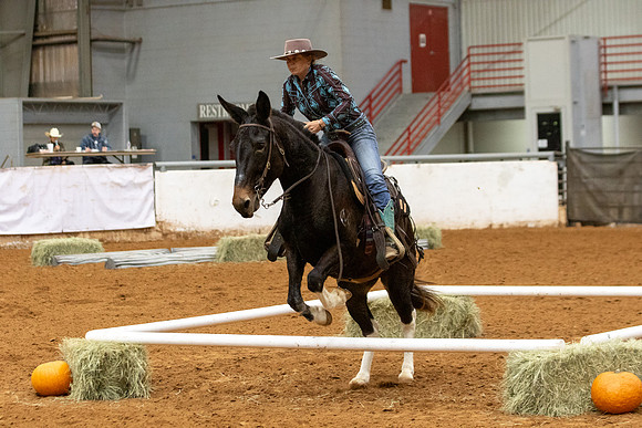 Mule&FuturityR2-210