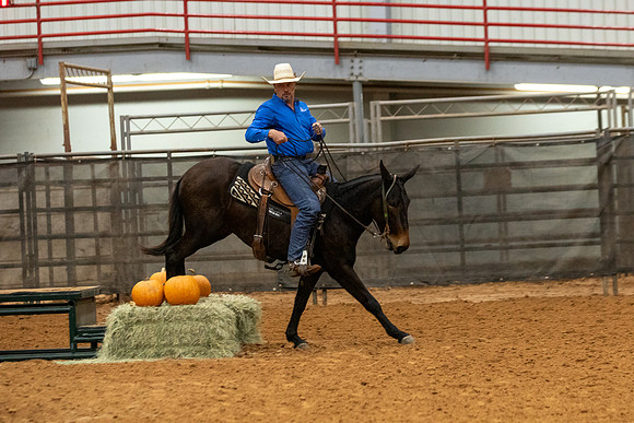 Mule&FuturityR2-82