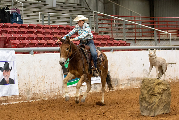 Mule&FuturityR2-21