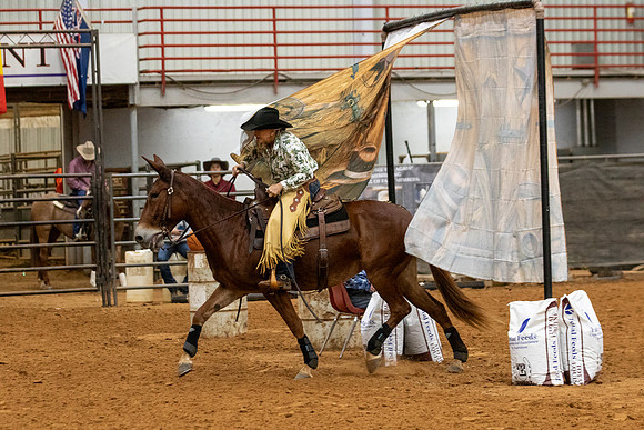 Mule&FuturityR2-134