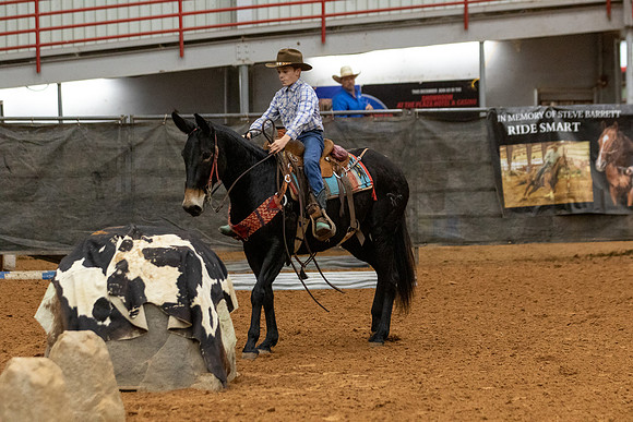 Mule&FuturityR2-70
