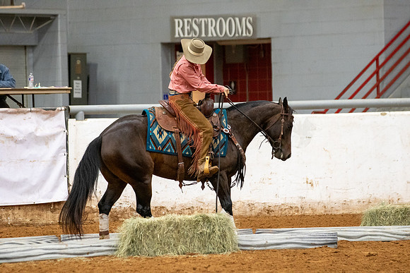 Mule&FuturityR2-279