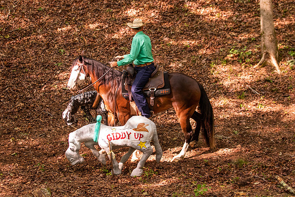 HodgesRace-5178