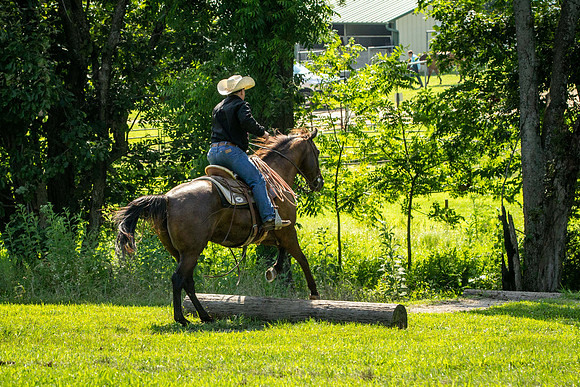 IMG_5420