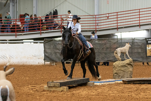 Mustang&MuleR1-5