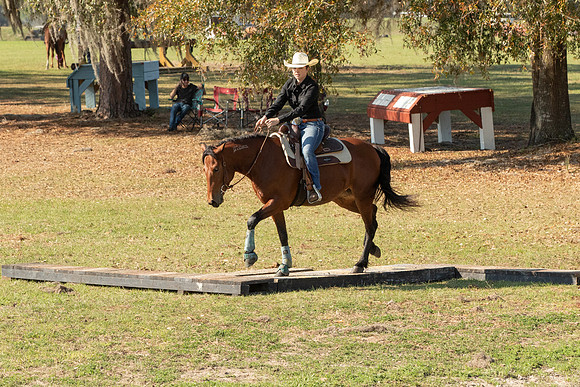 EXCAOcala-7801