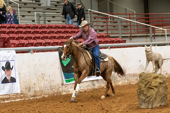 Mule&FuturityR2-391