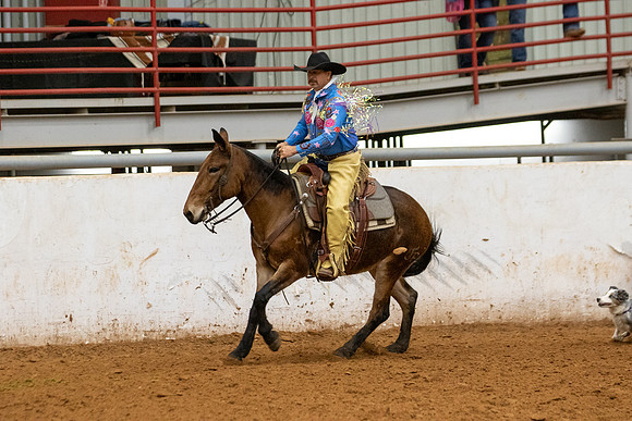 Mule&FuturityR2-171