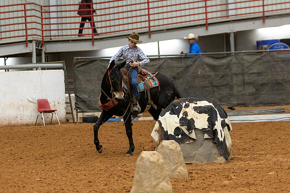 Mule&FuturityR2-71