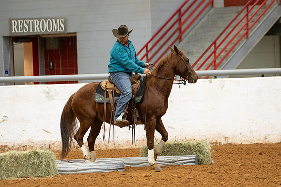 Mule&FuturityR2-362