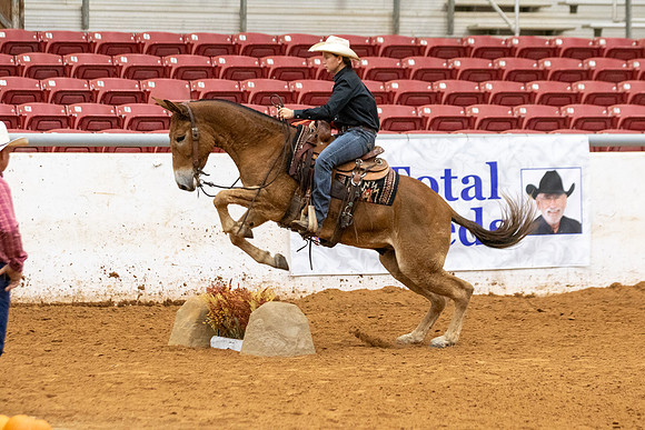 MuleFinals-10