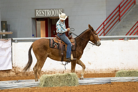 Mule&FuturityR2-4