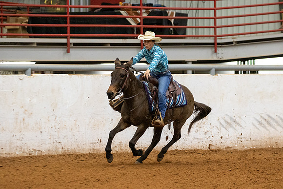 Mule&FuturityR2-44