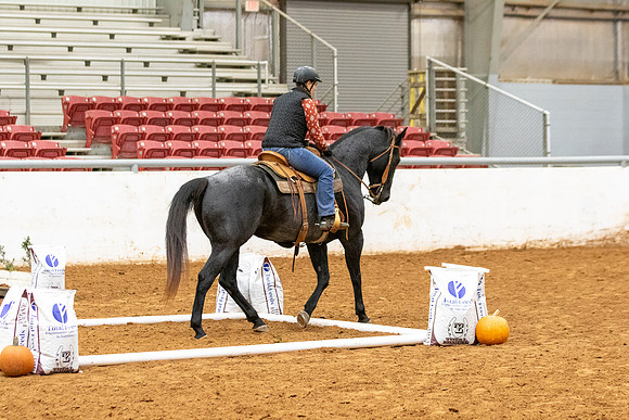 Int&FuturityR1-255