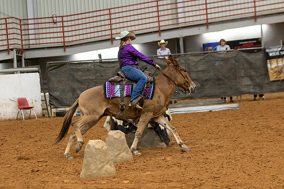Mule&FuturityR2-240
