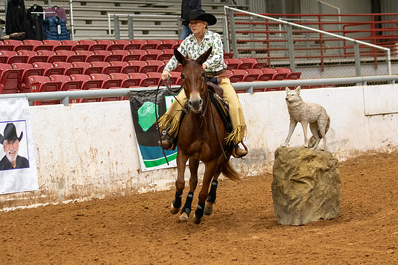 Mule&FuturityR2-120