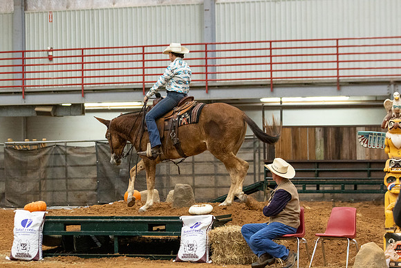 Mule&FuturityR2-8