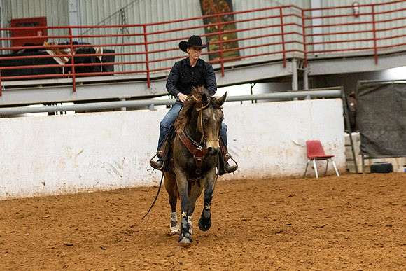 Mule&FuturityR2-541