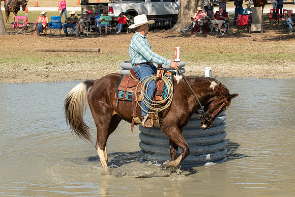 EXCAOcala-8002