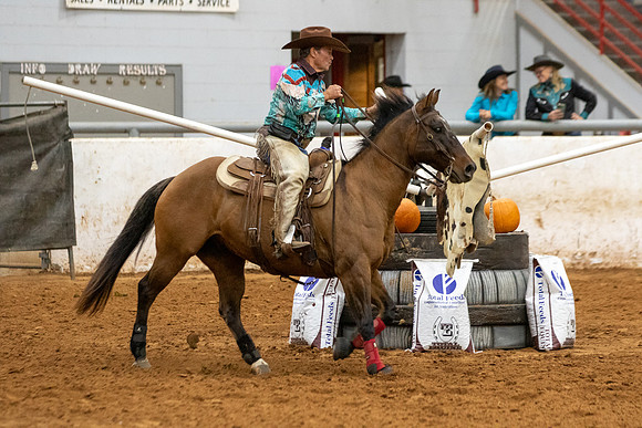 RideSmartR2-386