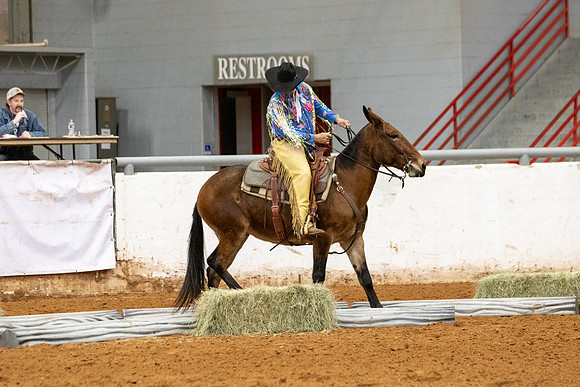 Mule&FuturityR2-174