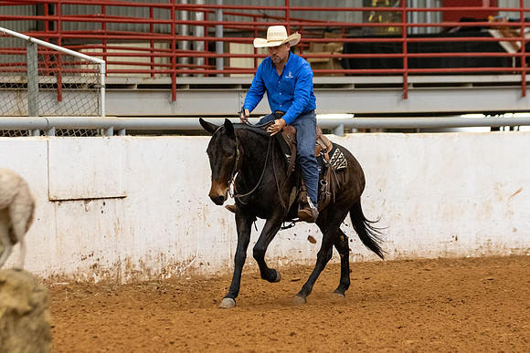 Mule&FuturityR2-75