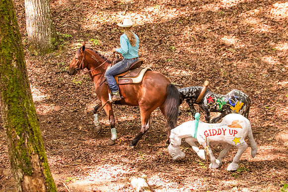HodgesRace-5316