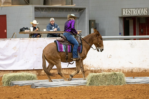 Mule&FuturityR2-224