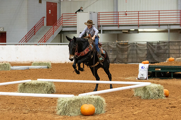 Mule&FuturityR2-60