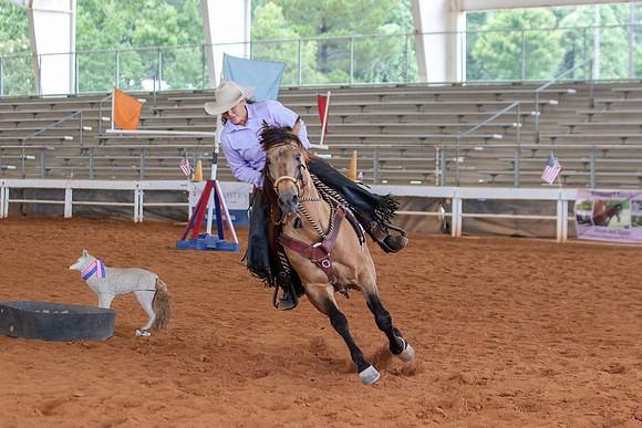 EXCARegionals-2015