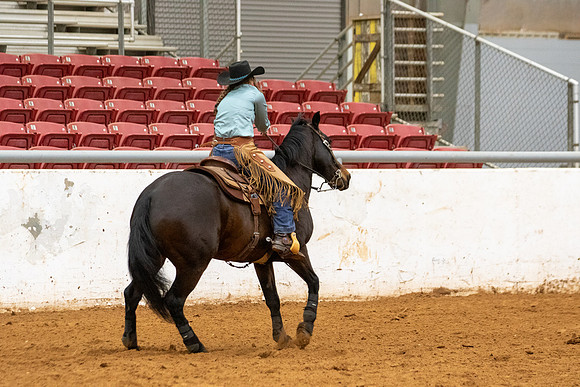OpenR2&LeadLine-201