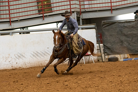Mule&FuturityR2-409