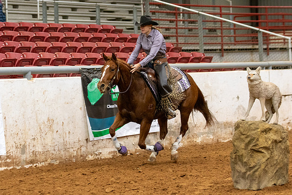 Mule&FuturityR2-514