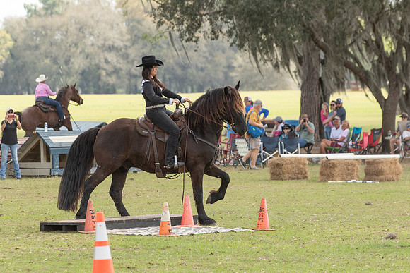 EXCAOcala-8358