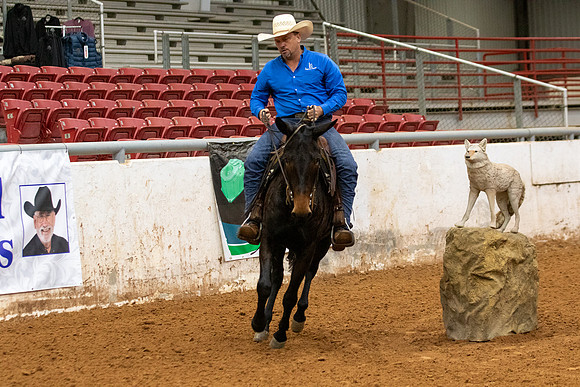 Mule&FuturityR2-76