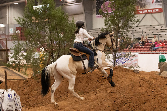 Futurity-6040