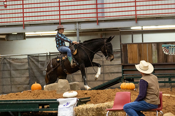 Mule&FuturityR2-205
