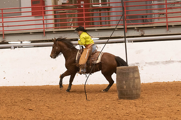 Mustang-1639