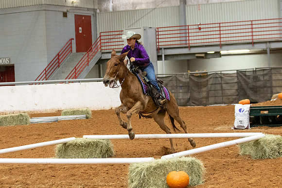 Mule&FuturityR2-231