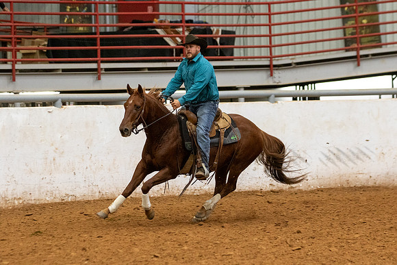 Mule&FuturityR2-373