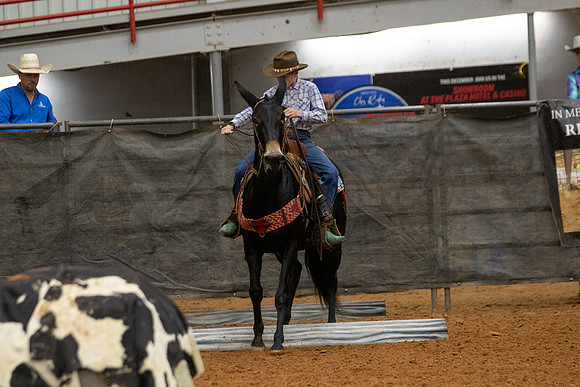 Mule&FuturityR2-51